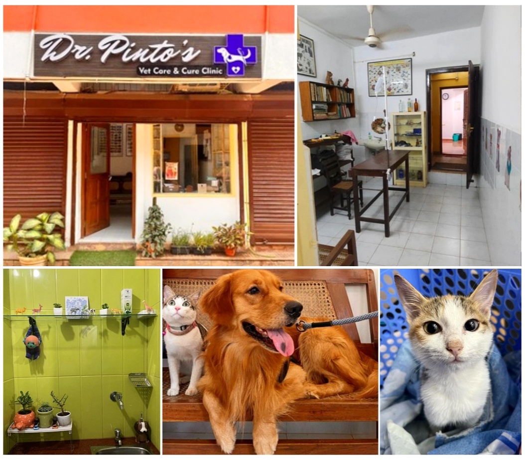 Dr. Pinto’s Vet Care and Cure Clinic