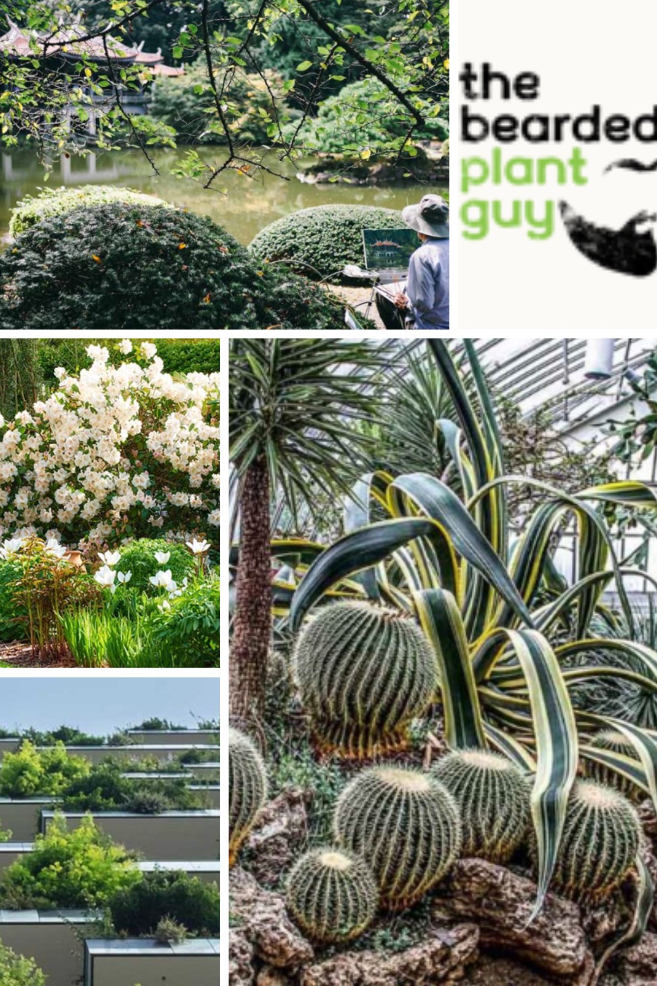 The Bearded Plant Guy