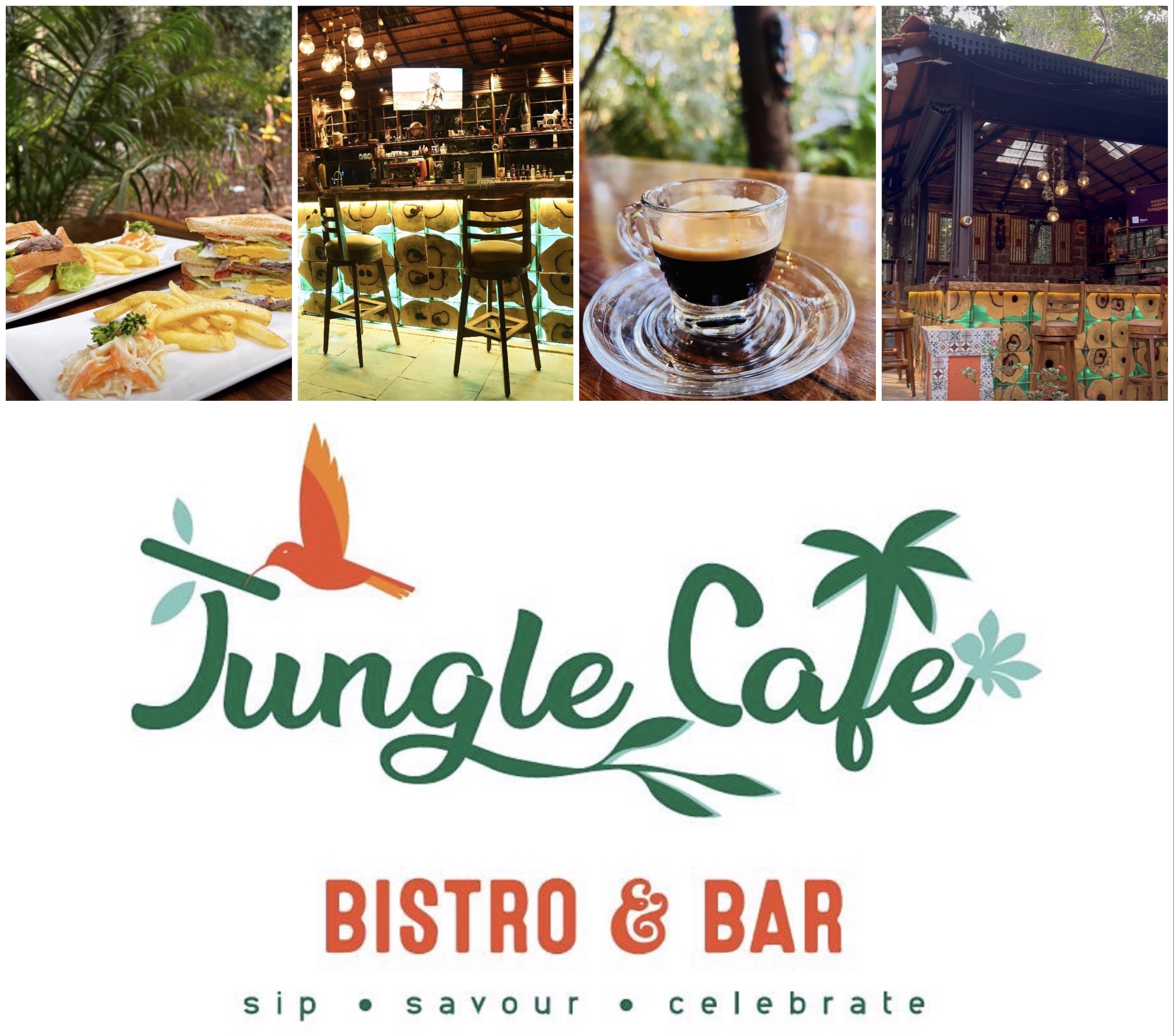 Jungle Cafe Bistro & Bar