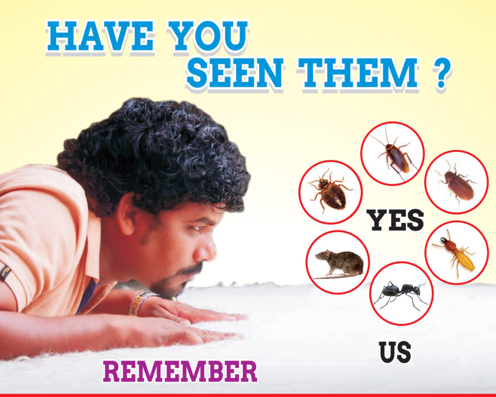 Effective Pest  Control India